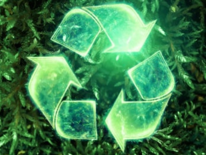 SERVIZIO PORTA A PORTA RACCOLTA RIFIUTI VEGETALI ANNO 2026